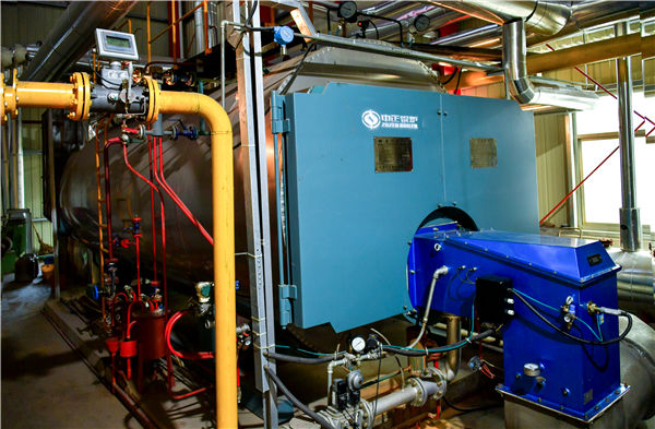 10蒸噸燃煤鍋爐改燃?xì)鉅t改造費(fèi)用多少