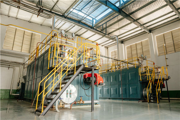 燃?xì)庵杏蓄w粒物的2噸燃?xì)忮仩t