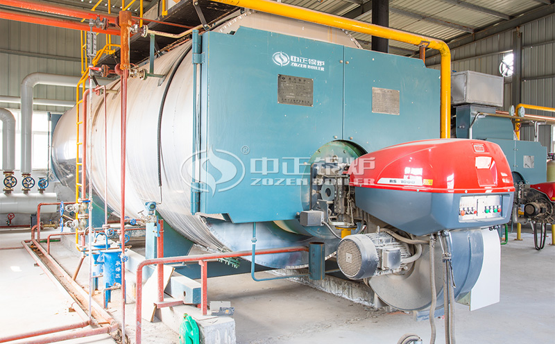 10噸WNS 系列冷凝式燃?xì)庹羝仩t項目