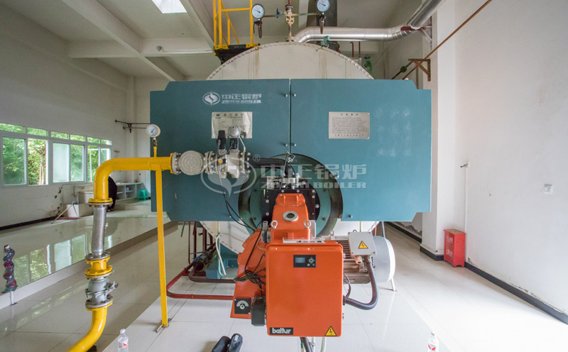 WN10鍋爐客戶案例圖片