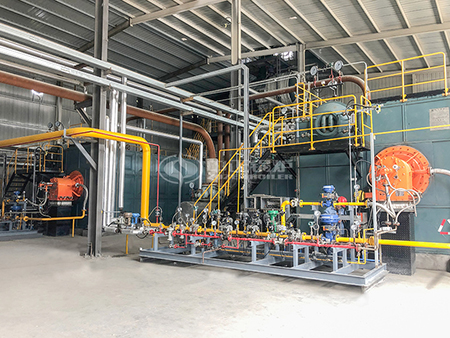 全國(guó)十大鍋爐廠(chǎng)家排名